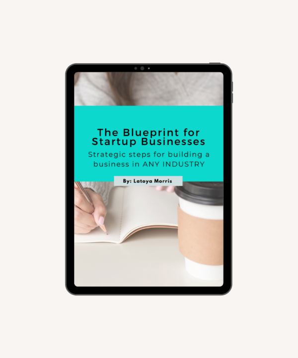 the blueprint for startup businesses ebook