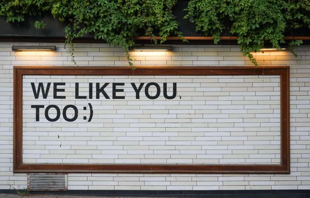 we like you too sign, for socially selective introverts.